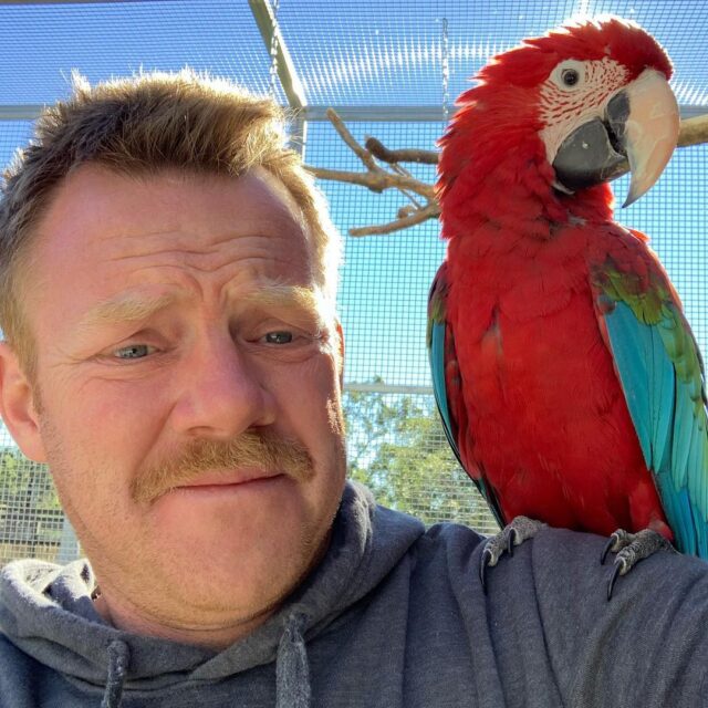 https://preciousbirdsfarm.com/wp-content/uploads/2024/05/Love-my-girl-Mikki-macaw-parrotsoftheworld-macawsofinstagram-640x640.jpg